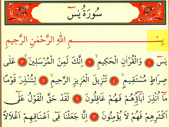 Bedenimiz mahşerde nasıl olacak? 14