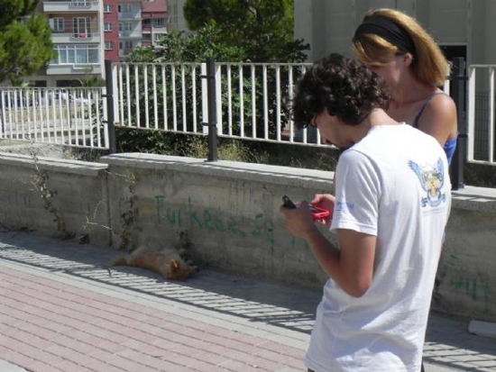 Balkondan asılmış köpek şoku 4