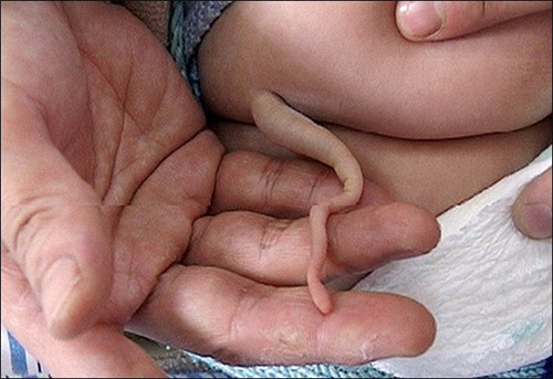 Kuyruklu insanlar göreni şaşırtıyor! 12