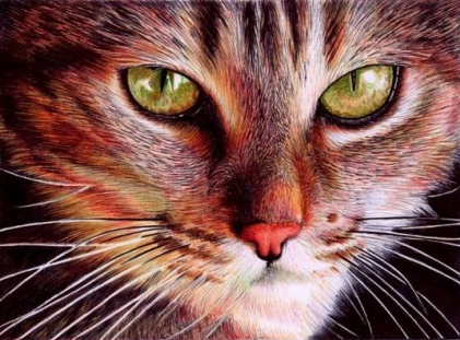 Fotoğraf değil, çizim harikası! 6
