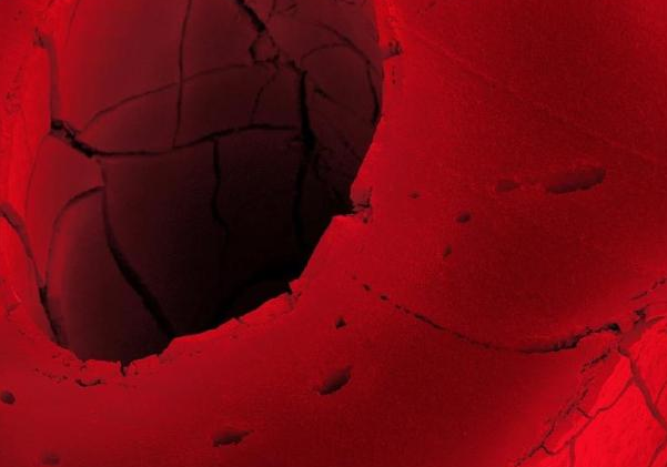 Hiç bu kadar yakından gördünüz mü? 22
