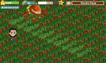 Facebook'taki Farmville'den tüyolar 25