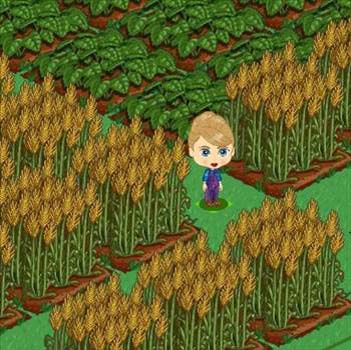 Facebook'taki Farmville'den tüyolar 26