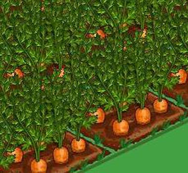 Facebook'taki Farmville'den tüyolar 37