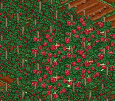 Facebook'taki Farmville'den tüyolar 38