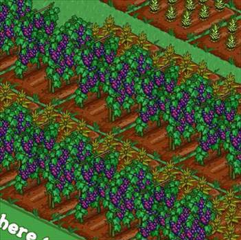 Facebook'taki Farmville'den tüyolar 43