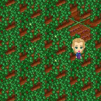 Facebook'taki Farmville'den tüyolar 45