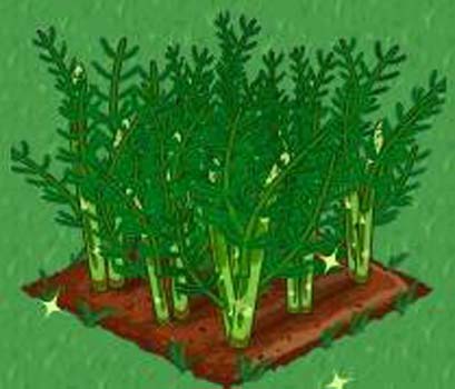 Facebook'taki Farmville'den tüyolar 46