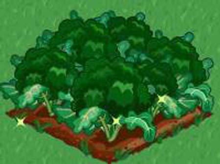 Facebook'taki Farmville'den tüyolar 48