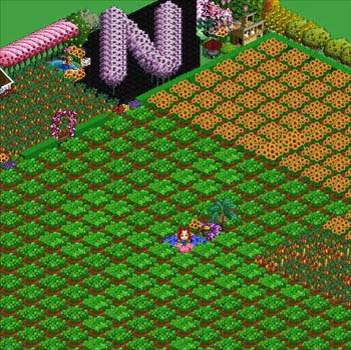 Facebook'taki Farmville'den tüyolar 5