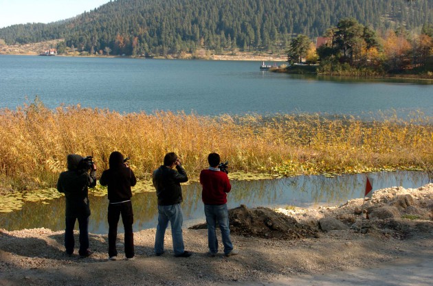 İşte Erdoğan'ın tatil yaptığı ev! 4