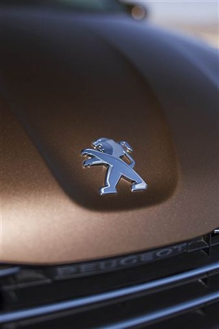 Peugeot 301 Sedan 20