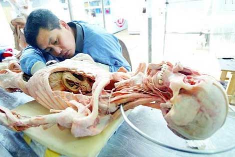 Ceset sergisi dehşet veriyor 7