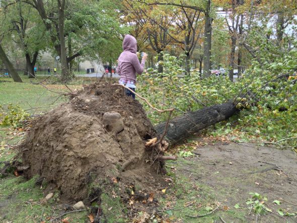 Sandy kasırgası öldürüyor 22