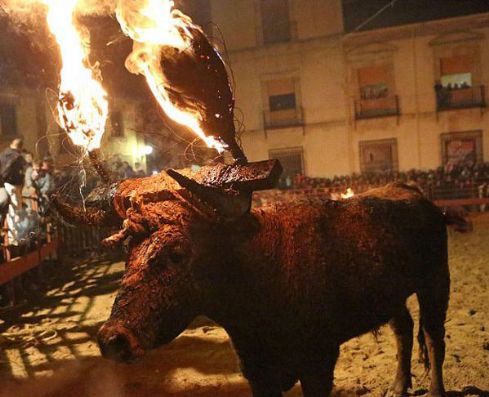 Canlı canlı yakıp böyle eğlendiler! 12