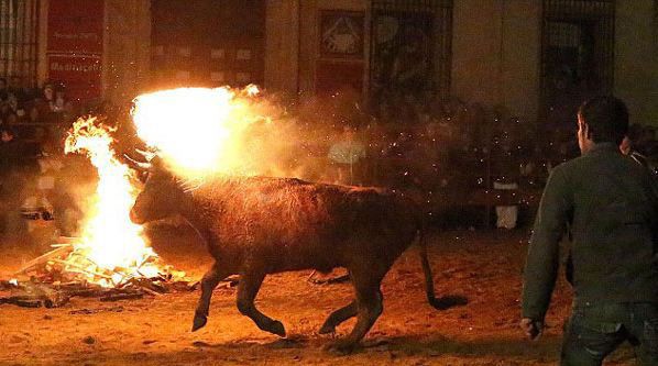 Canlı canlı yakıp böyle eğlendiler! 18