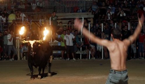 Canlı canlı yakıp böyle eğlendiler! 20