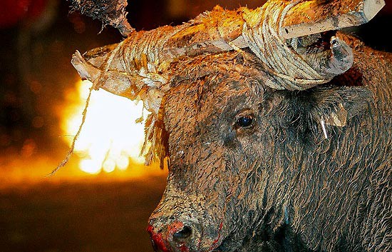 Canlı canlı yakıp böyle eğlendiler! 23