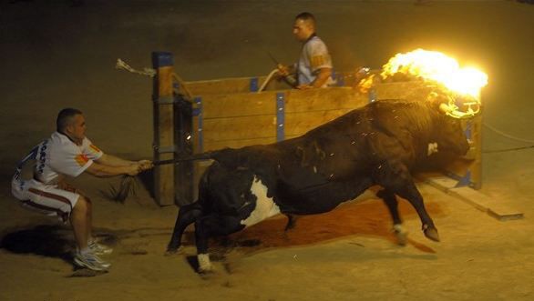 Canlı canlı yakıp böyle eğlendiler! 6