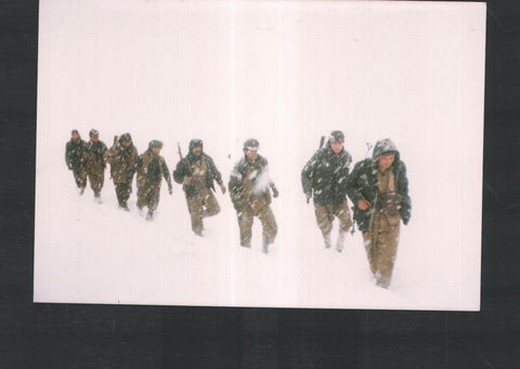 Kadın PKK'lıların içler acısı görüntüleri! 14