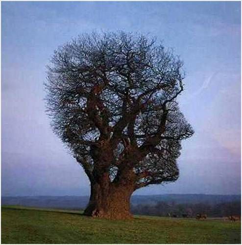 İlüstrasyon fotoğrafları 17