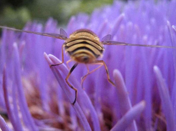 Gençlerden ödüllü fotoğraflar 2
