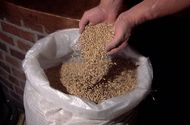 Arpa'nın faydaları 14