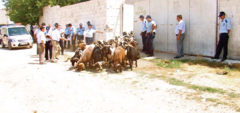 Türkiye'nin tarihi mirası Gaziantep 32