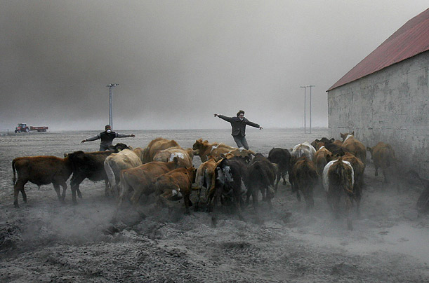 Beklenmedik, Olağandışı, Az pozlanmış: En Şaşırtıcı Resimler (2010) 14