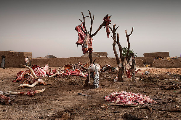 Beklenmedik, Olağandışı, Az pozlanmış: En Şaşırtıcı Resimler (2010) 2