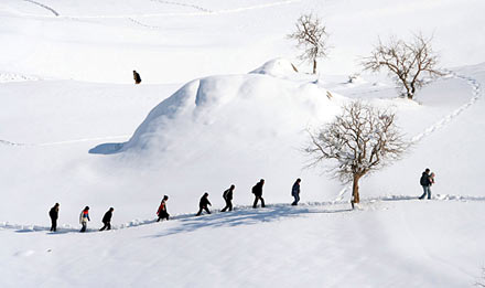 20 ödüllü fotoğraf 5