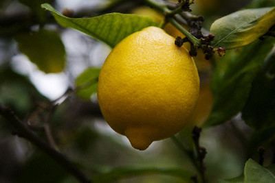 Limonun faydaları 3