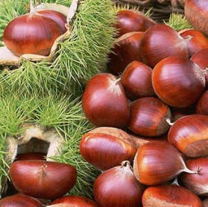 En sağlıklı 10 kış besini 12