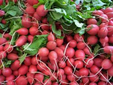 En sağlıklı 10 kış besini 20