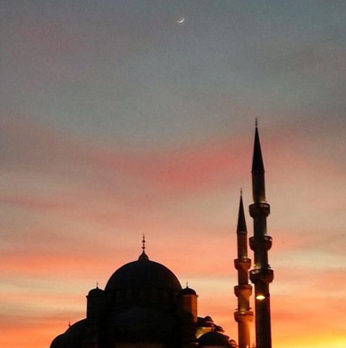 Sara Sierra'nın son fotoğrafları 4