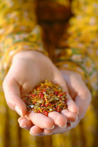 Terenin faydaları 19