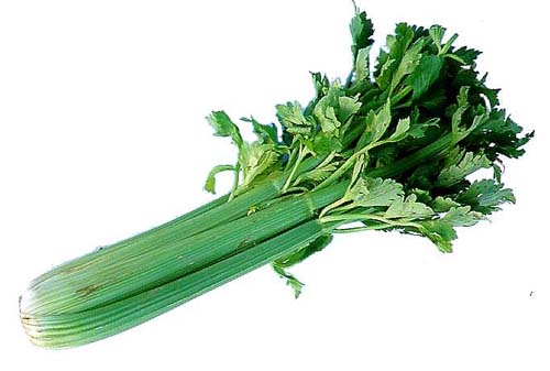 Öksürük ve gribin ilacı... 11