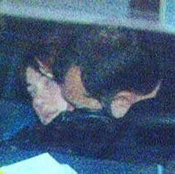 Bir hata kariyerlerini bitirdi 17