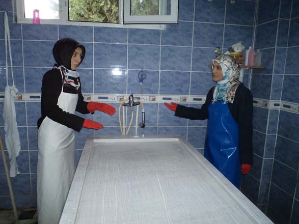 Cesaret Edilemeyen Meslek 21