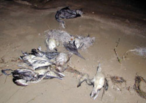 Dünyayı korkutan 2012 belirtileri 18