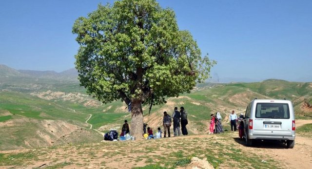 Güne Damga Vuran Kareler-2 25