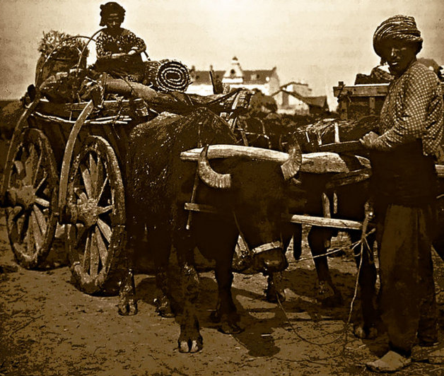 Balkan Harbi'nden İlk Kez Yayınlanan Fotoğraflar 17