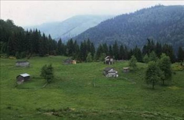 Şehirler İsimlerini Nereden Alıyor? 75