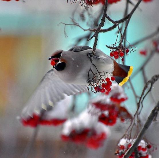 Günün muhteşem fotoğrafları 7