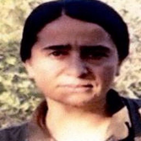 2.100 PKK'lıyı Çekilme Aşamasında Kimler Görev Alacak? 18