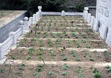 Ölümden nasıl nimet olur 6
