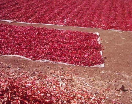 Cinsellik için doğal reçete 11