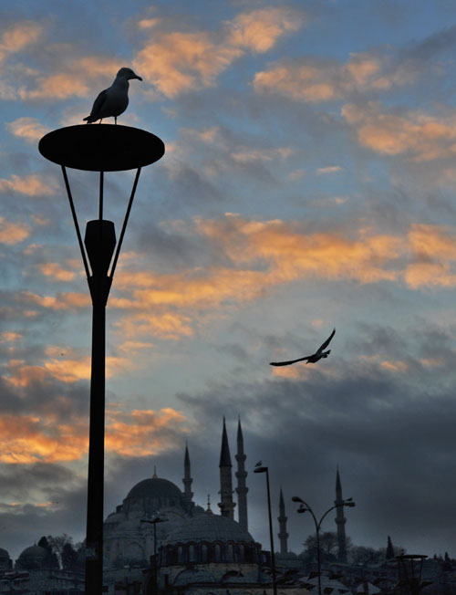 Boğazın simgesi Eminönü'nün süs 6