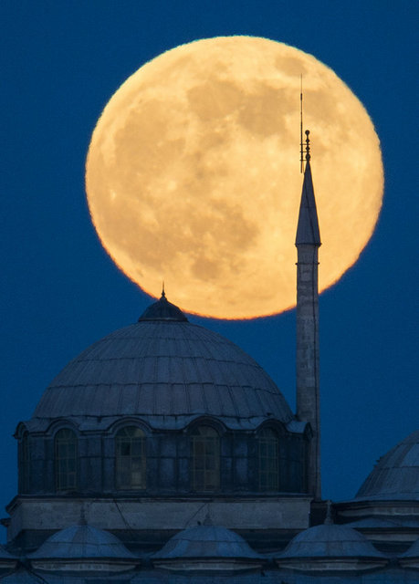Dünyanın iki uydusu vardı 13