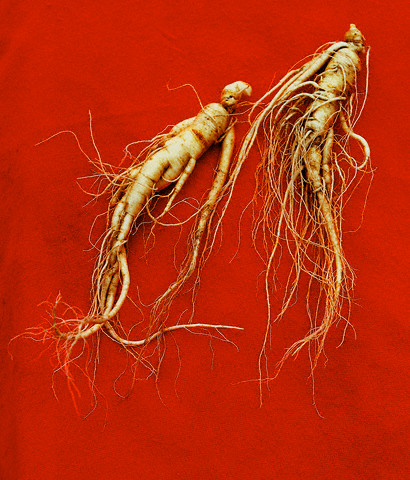 Gingseng'in faydaları 9